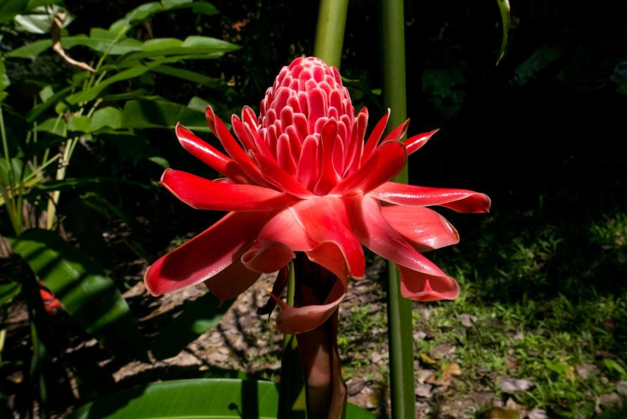 Ban Sabai Village Resort & Spa Chiang Mai Exteriör bild